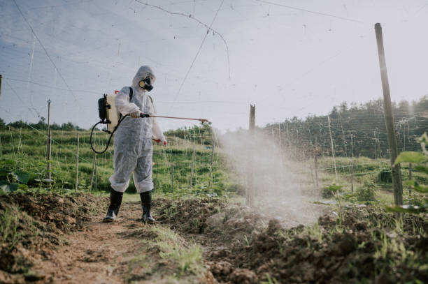 Best Mosquito Control Services  in Rushvle, IL