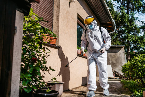 Best Pest Control Treatment  in Rushvle, IL