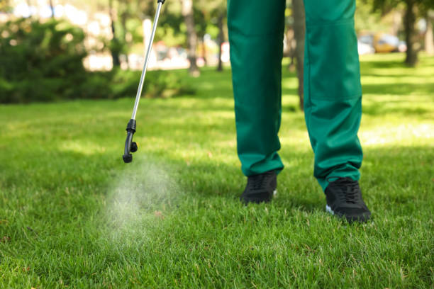 Best Affordable Pest Control Services  in Rushvle, IL