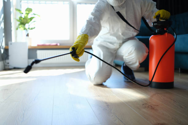 Best Pest Prevention Services  in Rushvle, IL