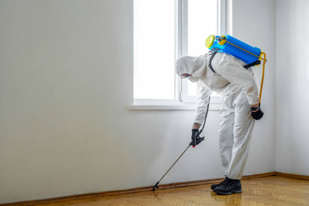 Best Rat Extermination Near Me  in Rushvle, IL