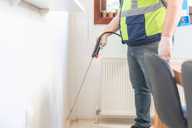 Best Flea Control Services  in Rushvle, IL