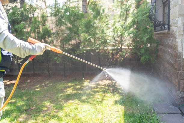 Best Termite Control Services  in Rushvle, IL