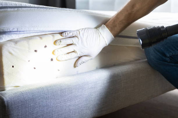 Pest Control for Restaurants in Rushville, IL