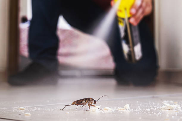 Best Exterminator Services  in Rushvle, IL