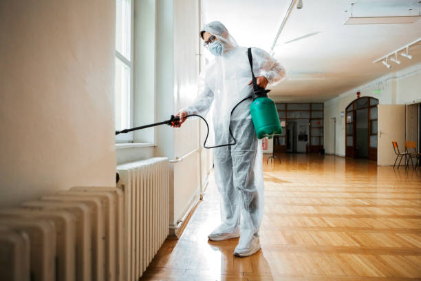 Best Affordable Pest Control Services  in Rushvle, IL