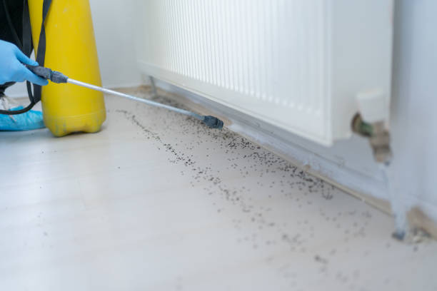 Professional Pest Control in Rushville, IL