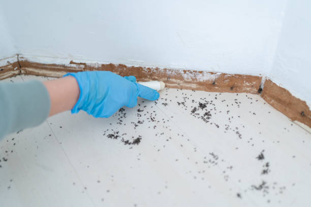 Best Commercial Pest Control Services  in Rushvle, IL